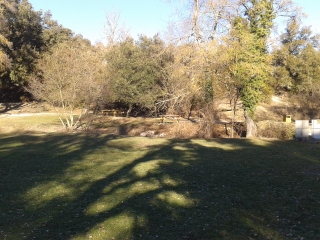 REILLANNE - PRIEURE DE CARLUC-alpes-de-haute-provence