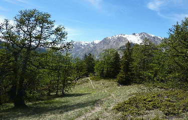 SERRE DE L AUT-alpes-de-haute-provence
