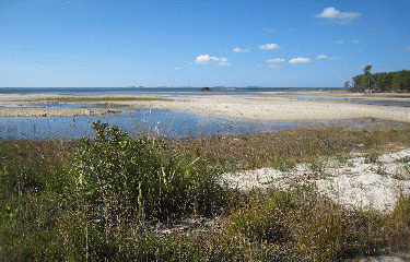 BORD DU LAC A SANGUINET-landes