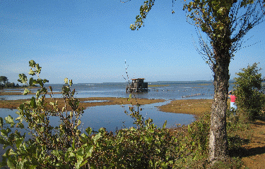 BORD DU LAC A SANGUINET-landes
