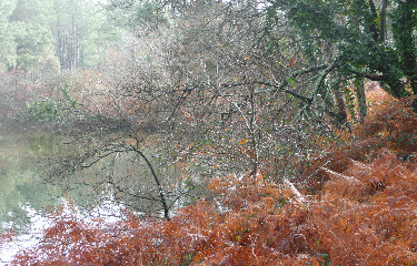 CIRCUIT DE PINSOLLE-landes