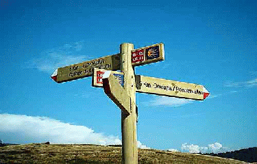 CHEMIN DE COMPOSTELLE - PARTIE 5-landes