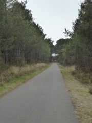 PORT D ALBRET-landes