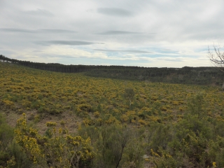 CIRCUIT DES TUCS-landes