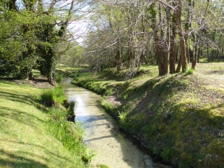 CIRCUIT DE BAZARGUE-landes