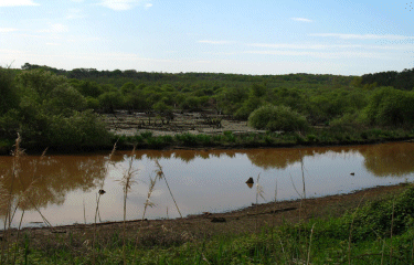 MARAIS D ORX -landes