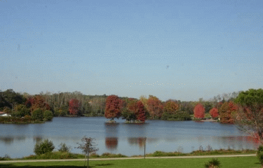 SAINT-PAUL-LES-DAX ET SES ETANGS-landes