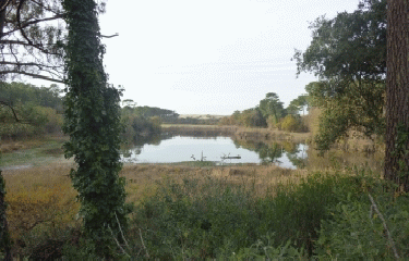 COURANT D HUCHET - MOLIETS PLAGE-landes