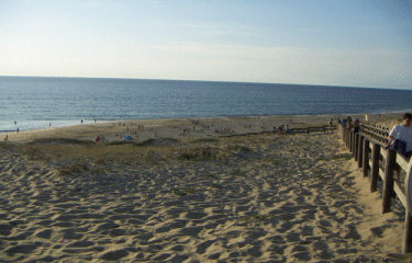 MESSANGES COTE PLAGE-landes