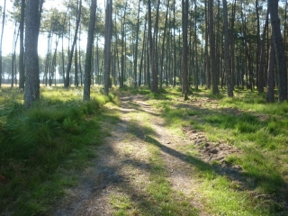 AZUR (2)-landes