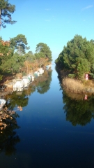 BOUCLE DE BISCARROSSE-landes