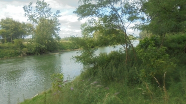 SAINT-CRICQ-DU-GAVE-landes