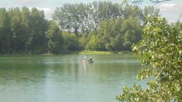 SAINT-CRICQ-DU-GAVE-landes