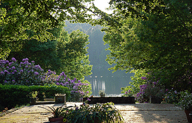 MESSANGES COTE FORET-landes