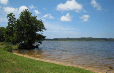 COURANT D HUCHET-landes