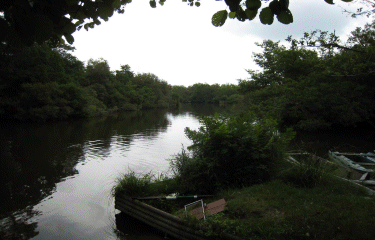 COURANT D HUCHET-landes