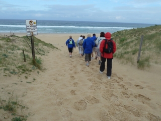 CONTIS - MIMIZAN PAR LA PLAGE - RETOUR PAR LA PISTE CYCLABLE EN SOUS-BOIS-landes