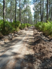 CONTIS - MIMIZAN PAR LA PLAGE - RETOUR PAR LA PISTE CYCLABLE EN SOUS-BOIS-landes