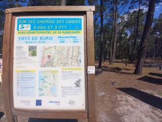 BISCARROSSE PLAGE - LA FORET DES LANDES-landes