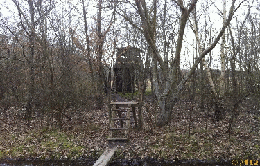 CHAMBORD-loir-et-cher