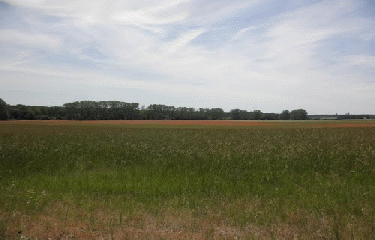 AUTOUR DU CHATEAU DE CHAMBORT-loir-et-cher