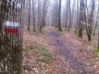 BLOIS - CHATEAU DE CHAMBORD - MER-loir-et-cher