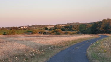 CHISSAY-EN-TOURAINE - RANDONNEE-loir-et-cher