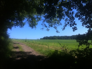 ORCHAISE-loir-et-cher