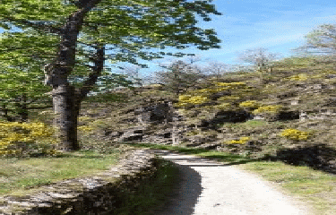 PLANFOY - PONT SOUVIGNET PAR LES DEUX BARRAGES - PAS DU RIOT ET GOUFFRE D ENFER-loire