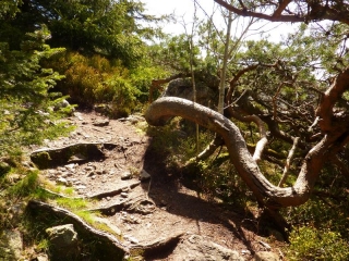 SUR LES CRETS DU MONT PILAT-loire