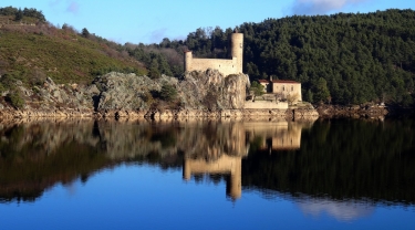 SAINT-VICTOR SUR LOIRE - LES RUINES DE CARRIN-loire