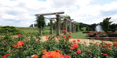 ROCHE-LA-MOLIERE-loire