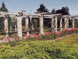 LA ROSERAIE DU BERLAND - AU CENTRE EQUESTRE D UNIEUX-loire