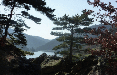SENTIER DES REVOTES-loire