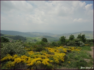 SAINTE-CROIX-EN-JAREZ-loire