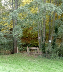 DEPUIS UNIEUX A CHEVAL-loire