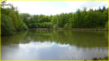 LA FOUILLOUSE - ETANG PICARD-loire