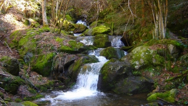 GOUFFRE D ENFER ET PAS DU RIOT - TOUR DES BARRAGES - BELVEDERE ET ROCHE CORBIERE-loire