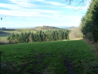 DE VIOLAY A ECHANSIEUX-loire