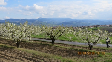 ST-MARTIN-LA-PLAINE - CRET FECHET-loire