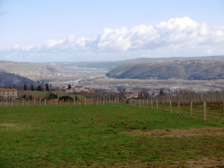 SAINT-MICHEL-SUR-RHONE - BOIS DES GARDES ET VIGNOBLES-loire