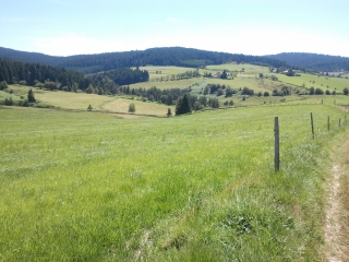 SAINT-GENEST-MALIFAUX-loire