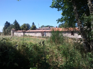 SAINT-GENEST-MALIFAUX-loire