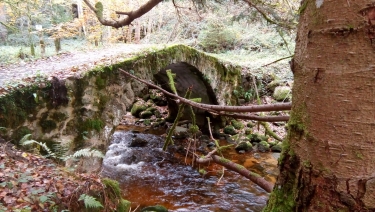 A LA DECOUVERTE DE LA FOURME-loire