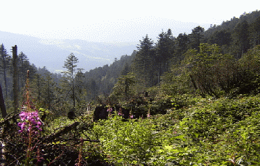 GR7 (partie 3) - ST-CHAMOND - LODEVE-loire