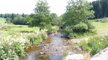 SAINT-GENEST-MALIFAUX (2)-loire