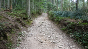 SAINT-GENEST-MALIFAUX (2)-loire