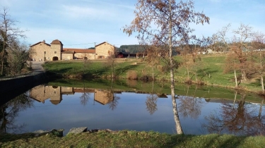 LE CERGNE A LA MADONE DE MARDORE-loire