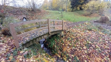 LE CERGNE A LA MADONE DE MARDORE-loire