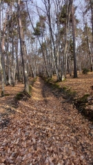 LERIGNEUX - ESSERTINES-EN-CHATELNEUF -  DOVESY-loire
